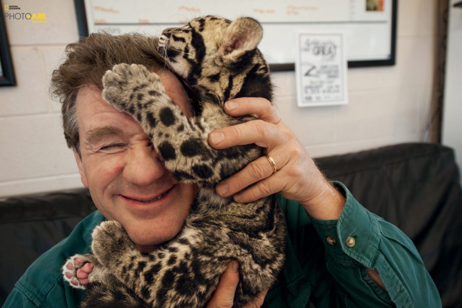Grahm S. Jones, Columbus Zoo and Aquarium After a photo shoot at the Columbus Zoo in Ohio, a clouded leopard cub climbs on Sartore’s head. The leopards, which live in Asian tropical forests, are illegally hunted for their spotted pelts.

© Photo by Joel Sartore/National Geographic Photo Ark