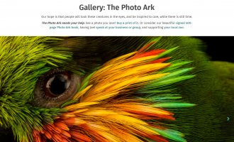 Gallery: The Photo Ark