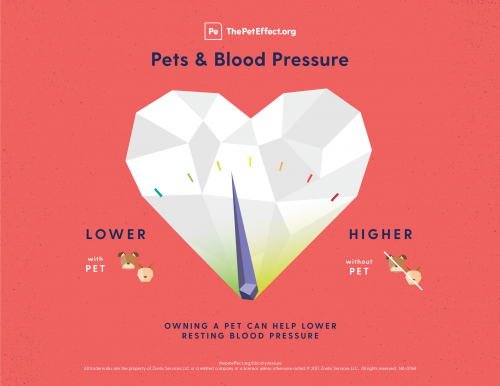 Pets & Blood Pressure