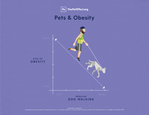Pets & Obesity