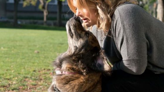 HOW THE HUMAN-ANIMAL BOND BENEFITS PEOPLE AND PETS | Games for Change  Student Challenge