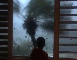 In this early morning Sept. 20, 2017 photo, a young boy looks out the window as strong winds brought on by Hurricane Maria bend a palm tree and send debris flying, in Juncos, Puerto Rico. As rains began to lash Puerto Rico, Gov. Ricardo Rossello warned that Maria could hit "with a force and violence that we haven't seen for several generations." (AP Photo/Linda Rodriguez Flecha)